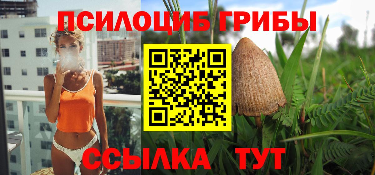 закладки  Вход с VPN  Зеленодольск  Псилоцибиновые грибы Magic Shrooms  Галлюциногенные грибы мицелий 
